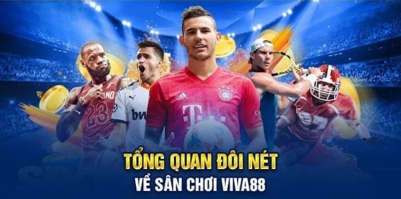 Trải nghiệm thực tế ảo trong một đấu trường đá gà đẳng cấp Xo88 - Xo88