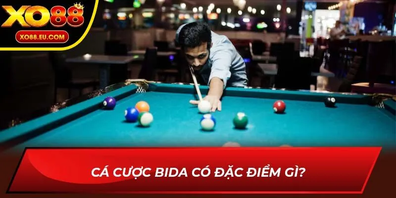 Cá Cược Bida có đặc điểm gì?
