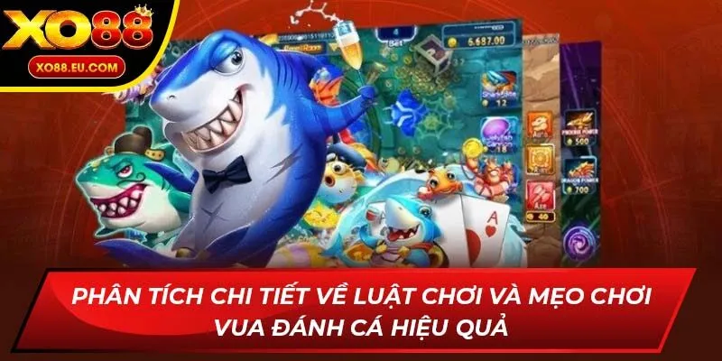 Phân tích chi tiết về luật chơi và mẹo chơi Vua Đánh Cá hiệu quảPhân tích chi tiết về luật chơi và mẹo chơi Vua Đánh Cá hiệu quả