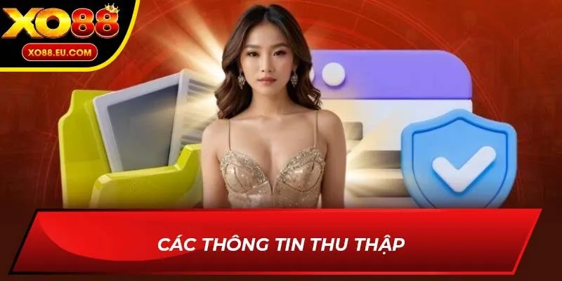Các thông tin thu thập