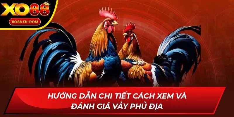 Hướng dẫn chi tiết cách xem và đánh giá vảy phủ địa