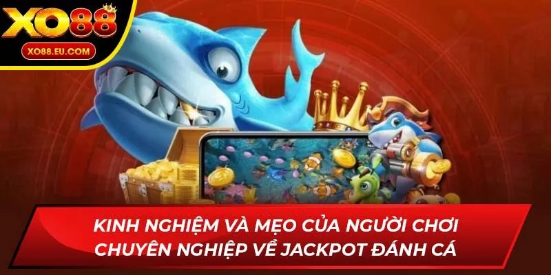 Kinh nghiệm và mẹo của người chơi chuyên nghiệp về jackpot đánh cá