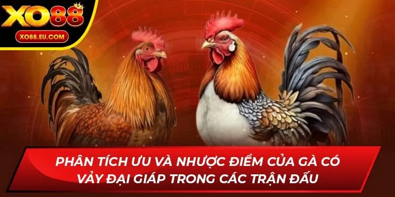 Phân tích ưu và nhược điểm của gà có vảy đại giáp trong các trận đấu